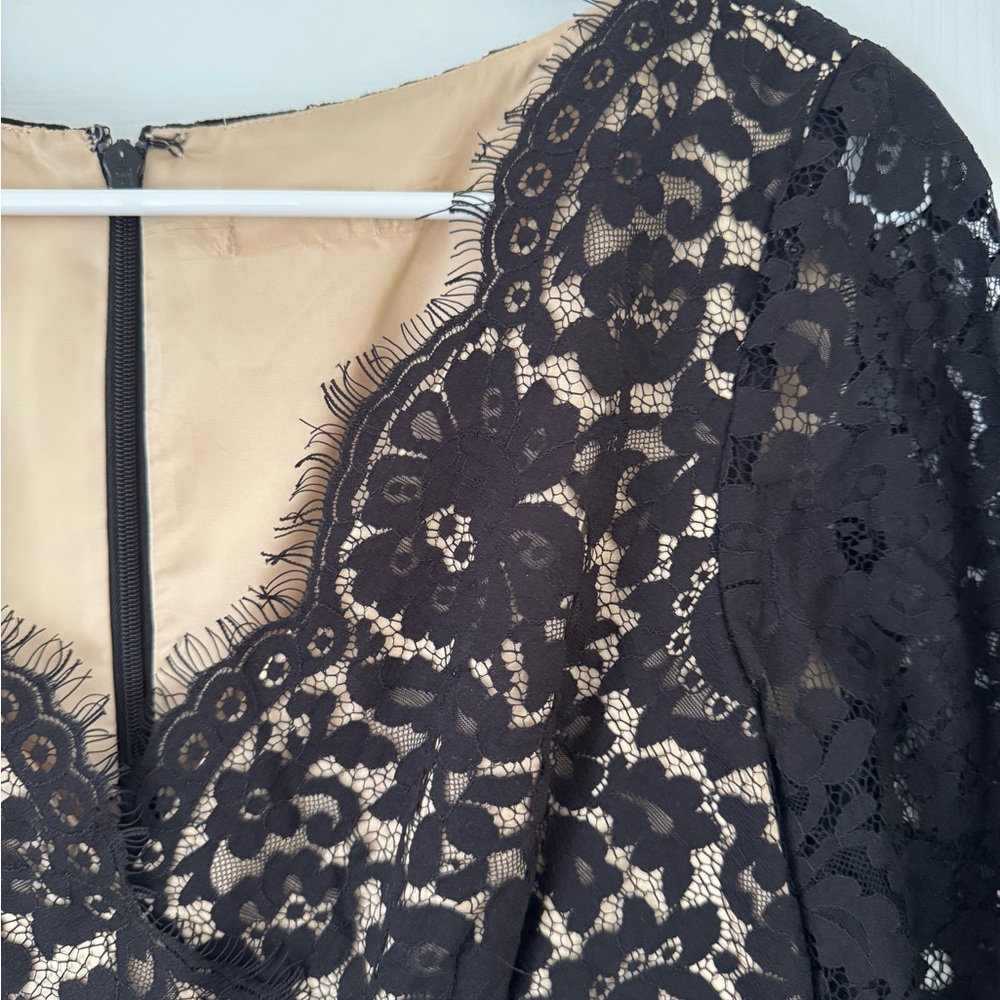 Eliza J Black Eyelash Lace and Faille Fit and Flare Cocktail Dress - Picture 3 of 6